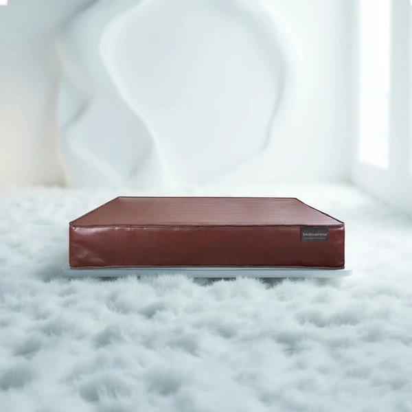 ที่นอนสปริง ระบบ SPRING MOTION FLEX 2.3 หุ้มหนังPVC รุ่น Vanest