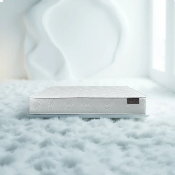 ที่นอนสปริงหุ้มผ้าแจ็คการ์ด รุ่น Vanest