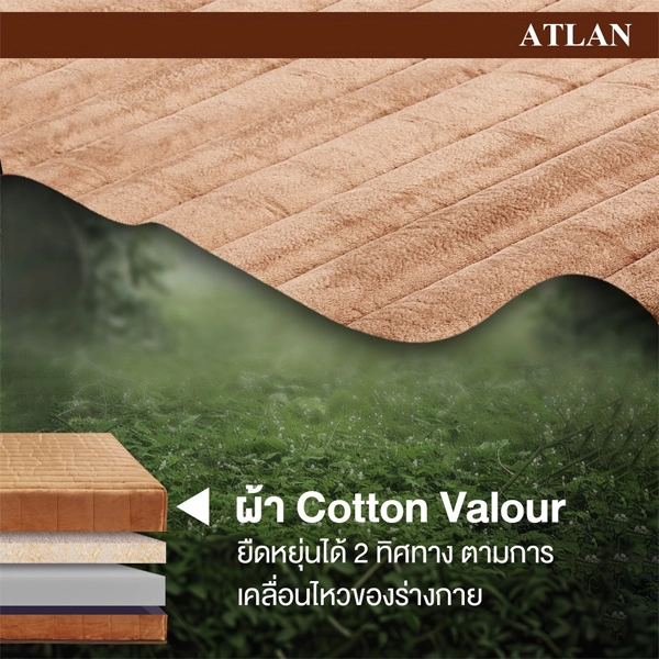 ที่นอนยางพาราแท้ 100% Latex หุ้มผ้า Cotton Velour กันไรฝุ่น (ไม่ใช่ยางพาราอัด) รุ่น ATLAN
