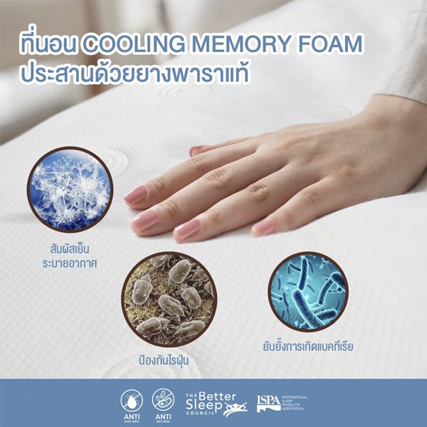 Earthzone cooling memory foam