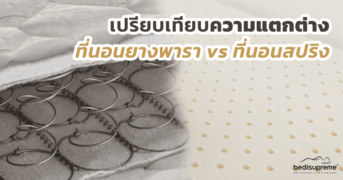 ที่นอนยางพารา ที่นอนสปริง