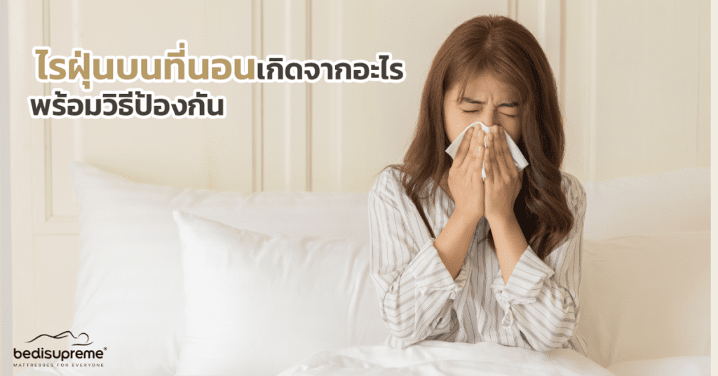 ไรฝุ่นบนที่นอนเกิดจากอะไร พร้อมวิธีป้องกัน