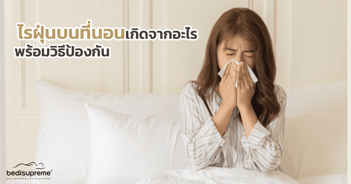 ไรฝุ่นบนที่นอนเกิดจากอะไร พร้อมวิธีป้องกัน