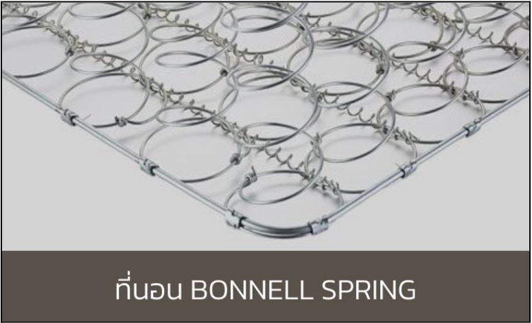 ที่นอน Bonnell Spring