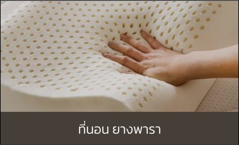 ที่นอนยางพารา 1