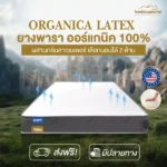 ที่นอนยางพาราแท้ 100% Latex ธรรมชาติ แบบฉีดขึ้นรูป ออร์แกนิค เกรดพรีเมียม รุ่น ORGANICA LATEX เลือกแบบนุ่มและแน่นได้ แค่พลิก ฟิวก็เปลี่ยน