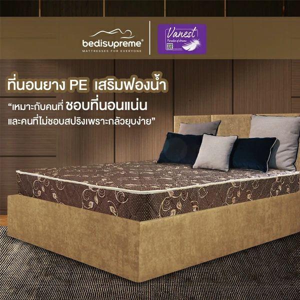 Vanest-สีน้ำตาล-2คิ้ว-ไม่มีหมอน_0