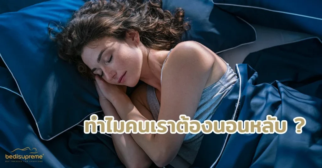 ทำไมคนเราต้องนอนหลับ
