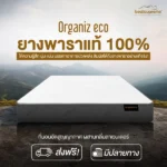 ที่นอนยางพาราแท้100% ธรรมชาติ ผสานด้วย HI-DENSITY ORGANIC OPEN CELL BASE รุ่น ORGANIZ ECO