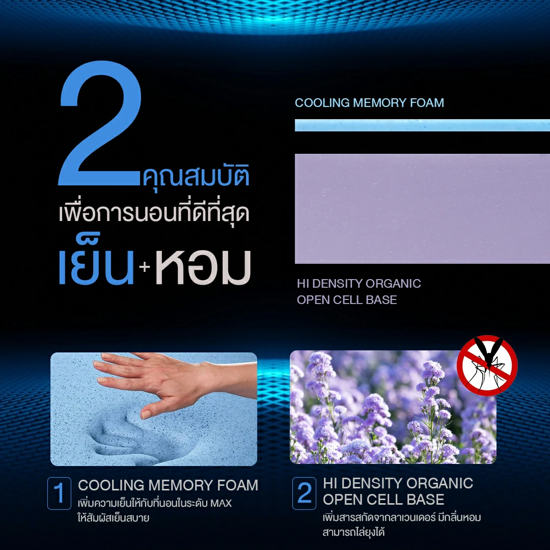 แนะนำที่นอนสุญญากาศจาก bedisupreme 2
