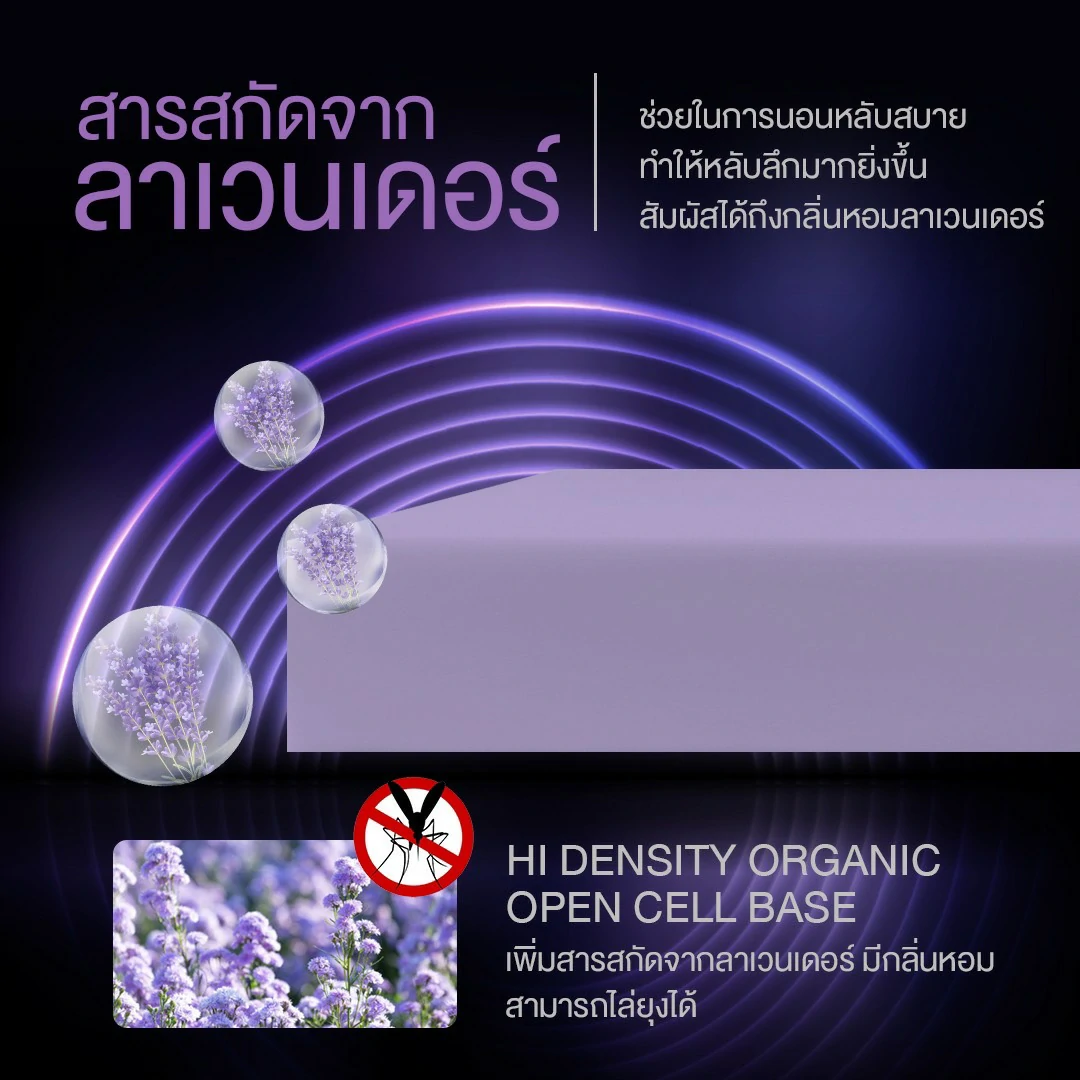 แนะนำที่นอนสุญญากาศจาก bedisupreme 6