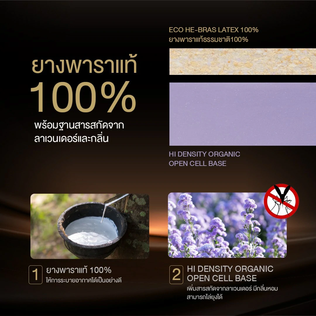 แนะนำที่นอนสุญญากาศจาก bedisupreme 8