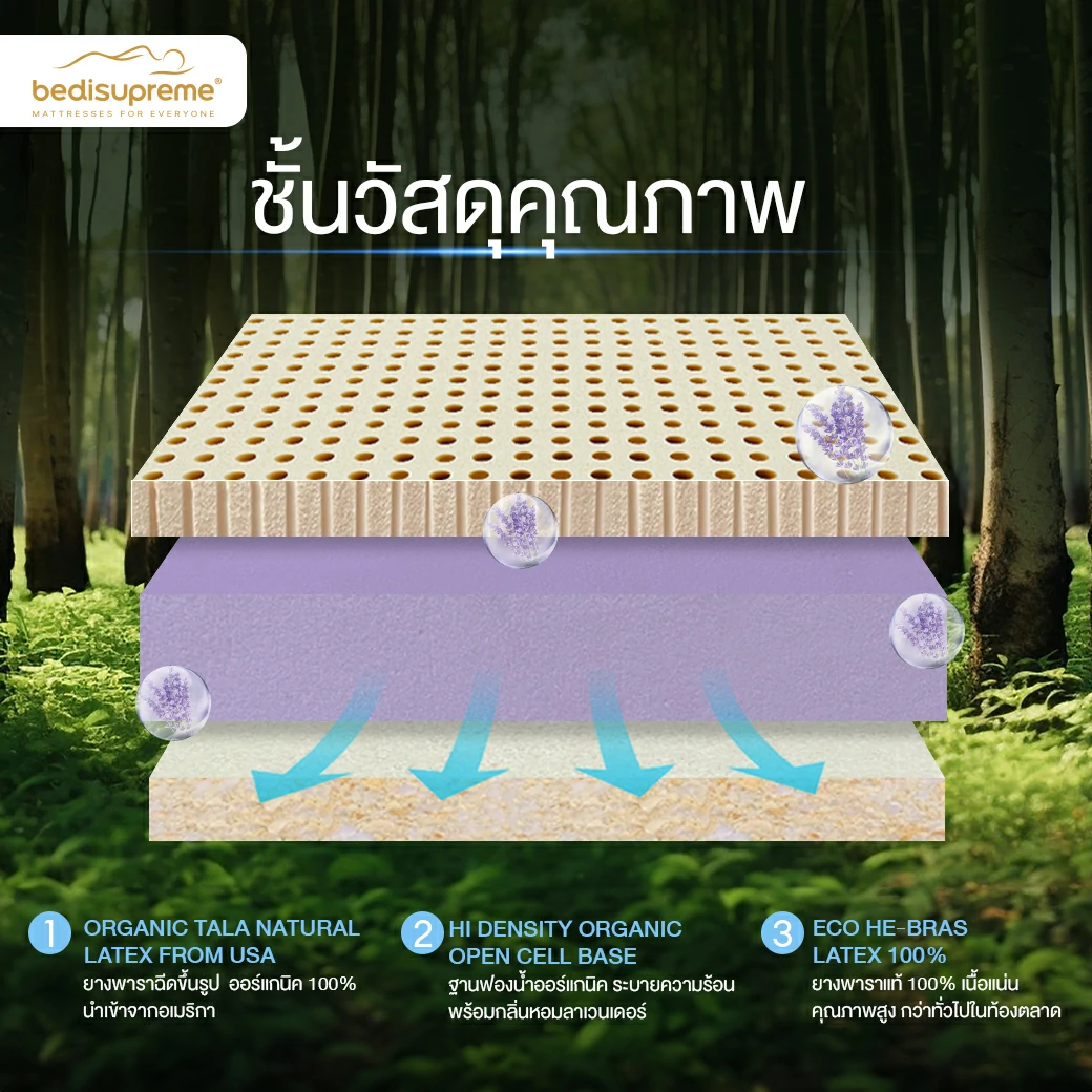 ที่นอนสุญญากาศที่ดีที่สุด ต้อนรับปี 20242