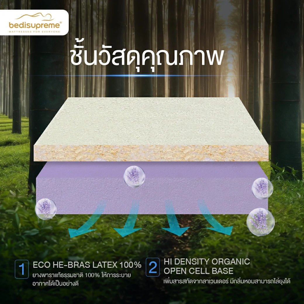 ที่นอนสุญญากาศที่ดีที่สุด ต้อนรับปี 202423