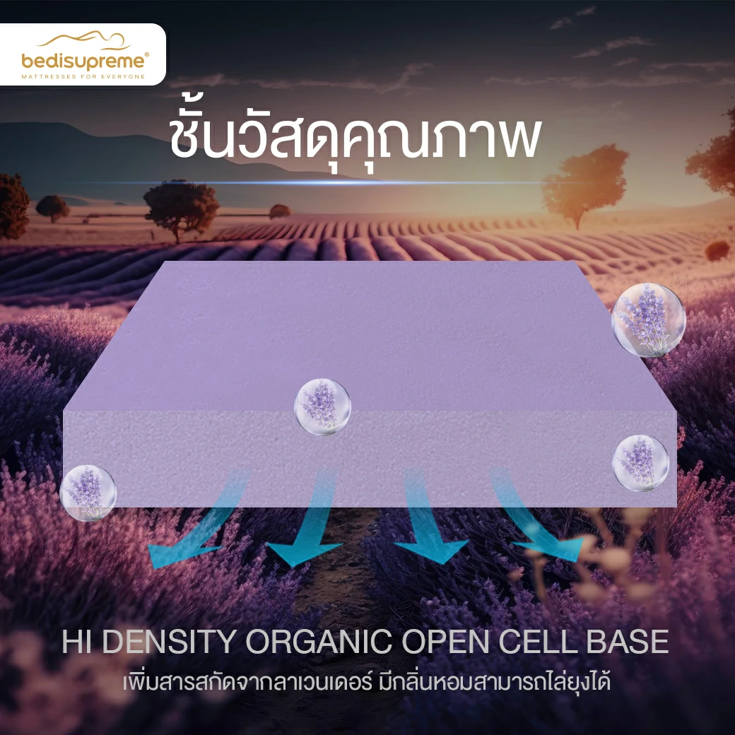 ที่นอนสุญญากาศที่ดีที่สุด ต้อนรับปี 202423