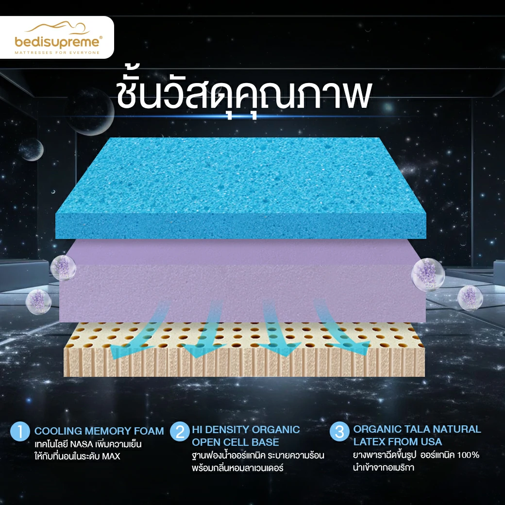 แบนเนอร์-8 (1)