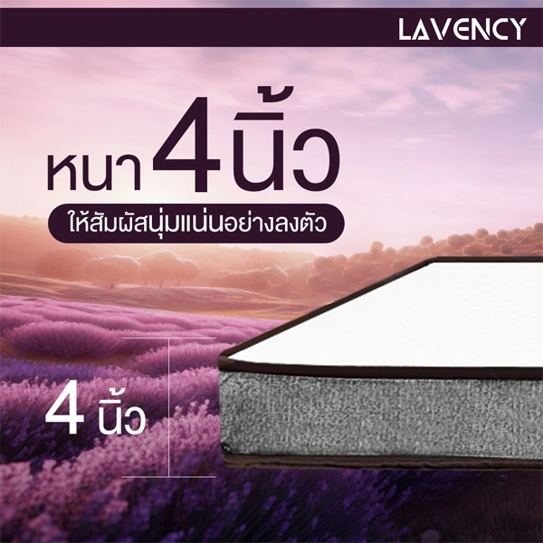 ที่นอน 3 พับ HI-DENSITY ORGANIC OPEN CELL BASE ที่เหนือกว่า ที่นอนยางพารา มีสารสกัดจากลาเวนเดอร์ รุ่น LAVENCY