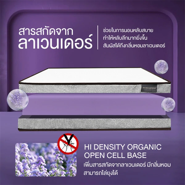 ที่นอน 3 พับใหม่ล่าสุด เพื่อคุณภาพการนอนที่ดีที่สุด3
