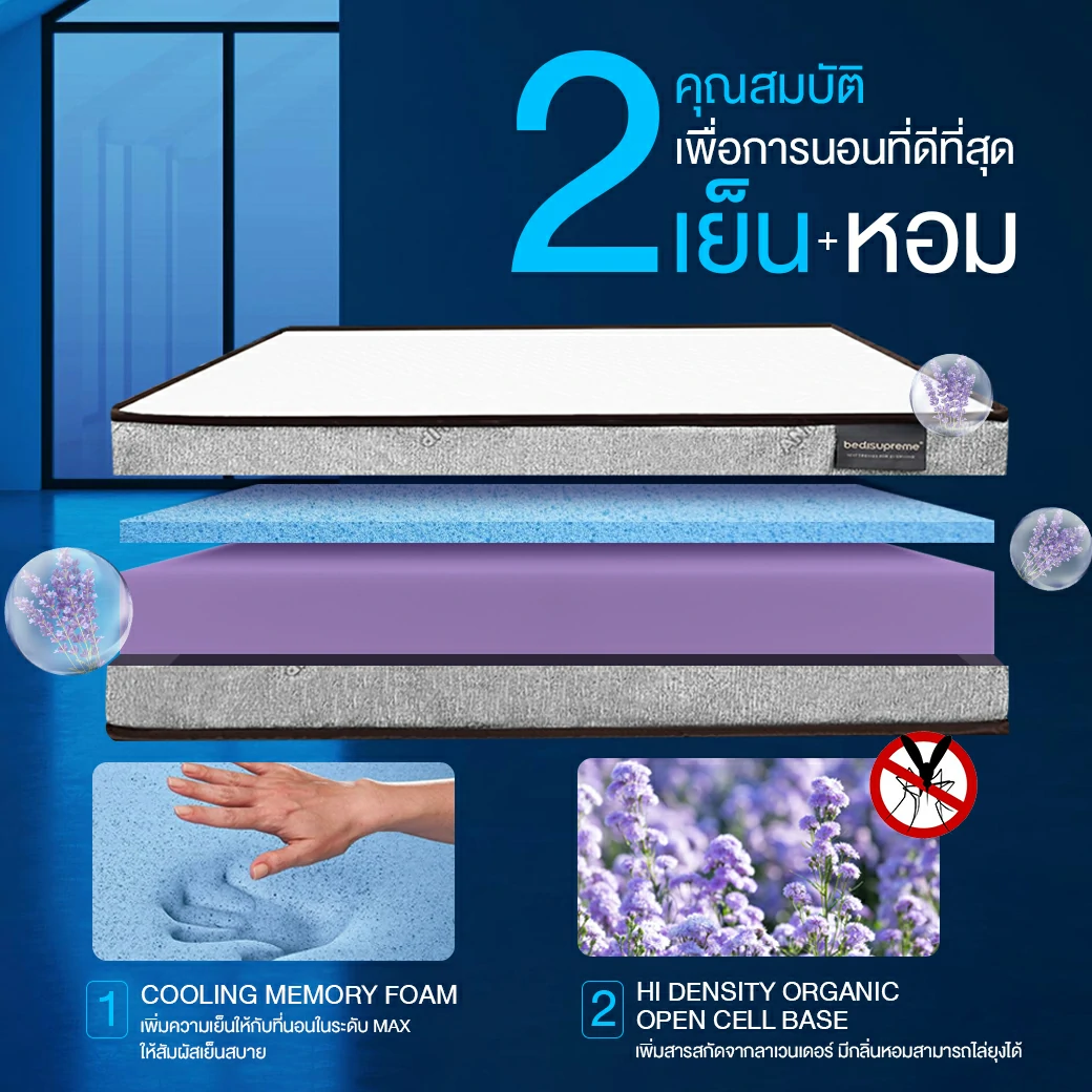 ที่นอน 3 พับใหม่ล่าสุด เพื่อคุณภาพการนอนที่ดีที่สุด5