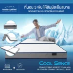 ที่นอนสูญญากาศ ที่นอน 3 พับ COOLING MEMORY FOAM ประสานด้วย HI-DENSITY ORGANIC OPEN CELL BASE รุ่น COOL SENCE