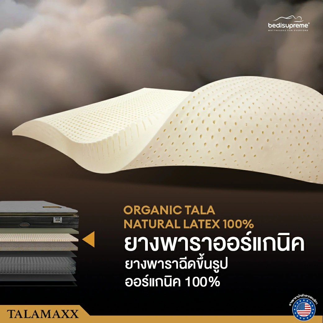 Talamaxx-6_0