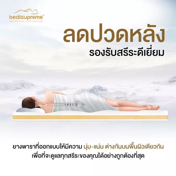 ท็อปเปอร์ยางพารา 7 Zone หุ้มผ้านุ่ม Cotton Soft