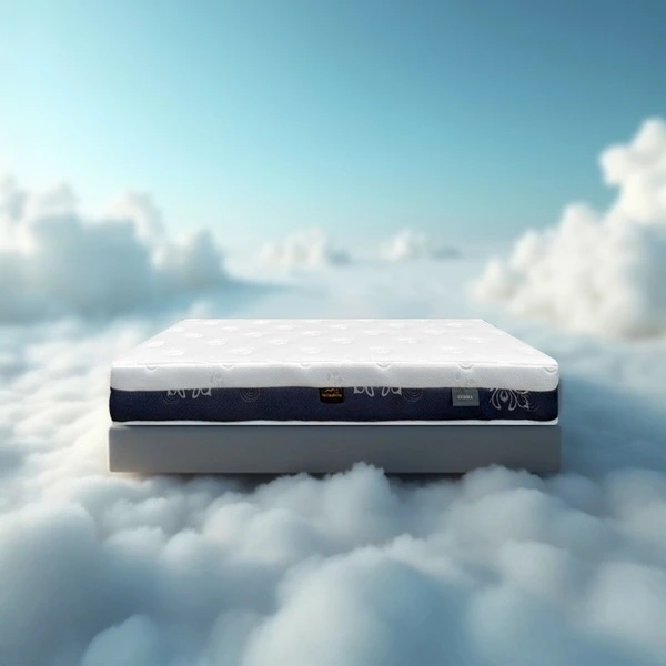ที่นอนสปริงเพื่อสุขภาพ หนา 8 นิ้ว รุ่น LUXORA