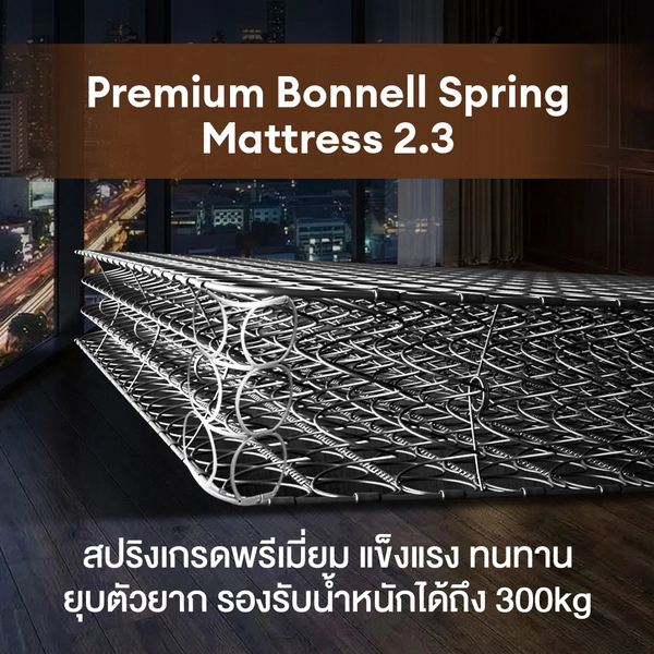 Hotel Deluxe - Image 4