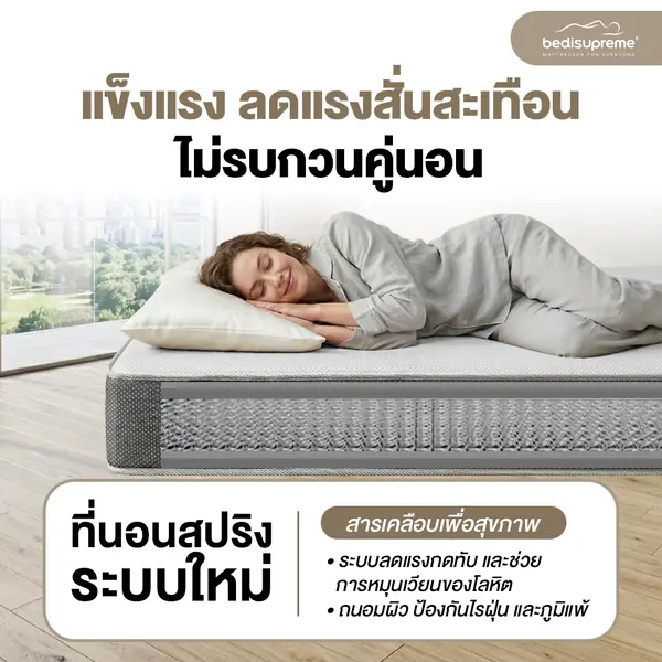 Vanest Plus - Image 6
