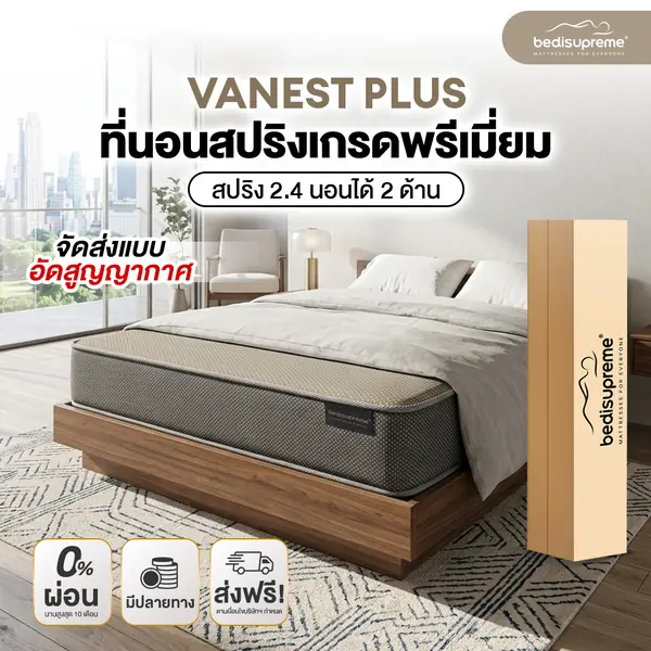 Vanest Plus - Image 3