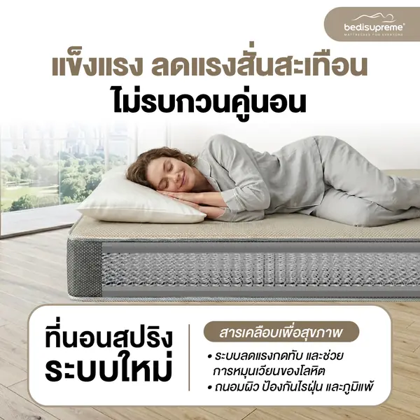 Vanest Plus - Image 13